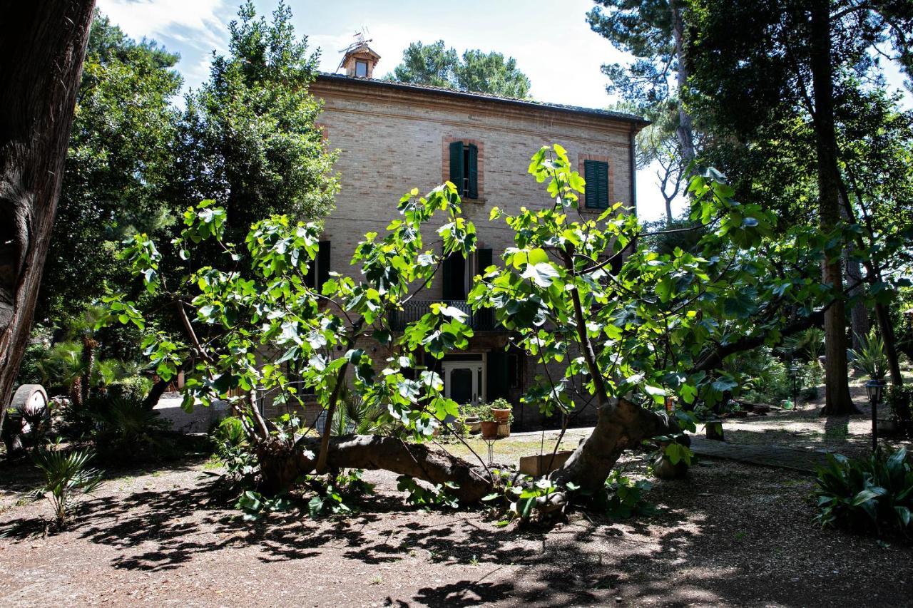 Vila Il Gatto E Il Violino Lido di Fermo Exteriér fotografie